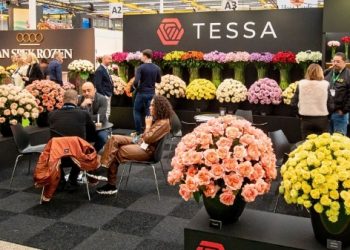 هلند، پایتخت گل جهان؛ درخشش مهمترین نمایشگاه در میان رنگ و عطر و نوآوری